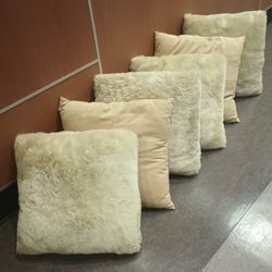 6 Couch Pillows