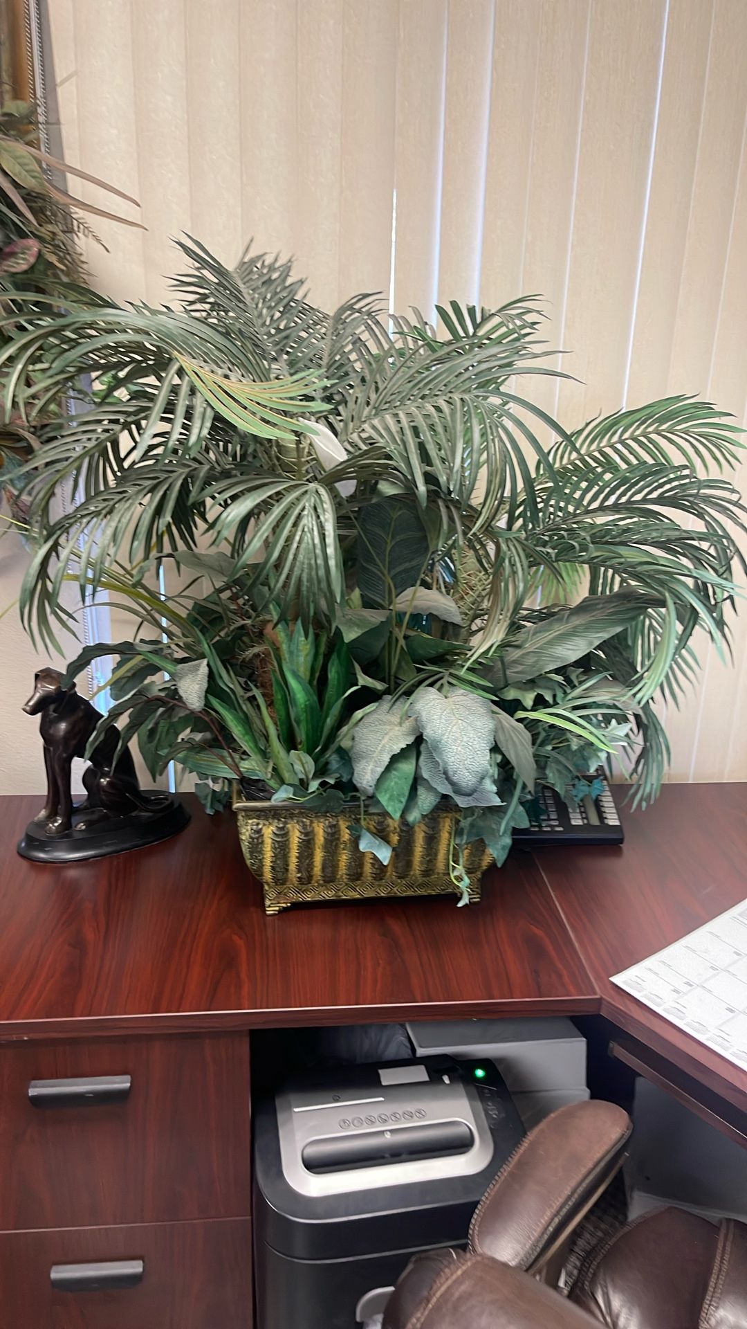 Plants