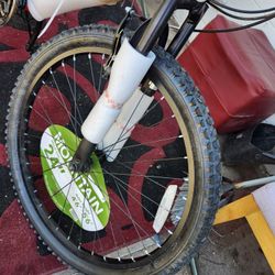 NEW MOUNTAIN  BIKE  NEVER USED  IN BOX  24INCH 18SPEED   Gauntlet  VERY God Condishn 