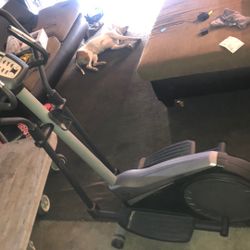 Golds Gym 