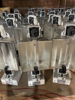 Gavita Pro Plus 1000 W