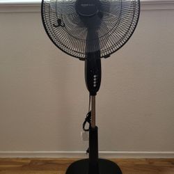 Amazon Basics Pedestal Fan