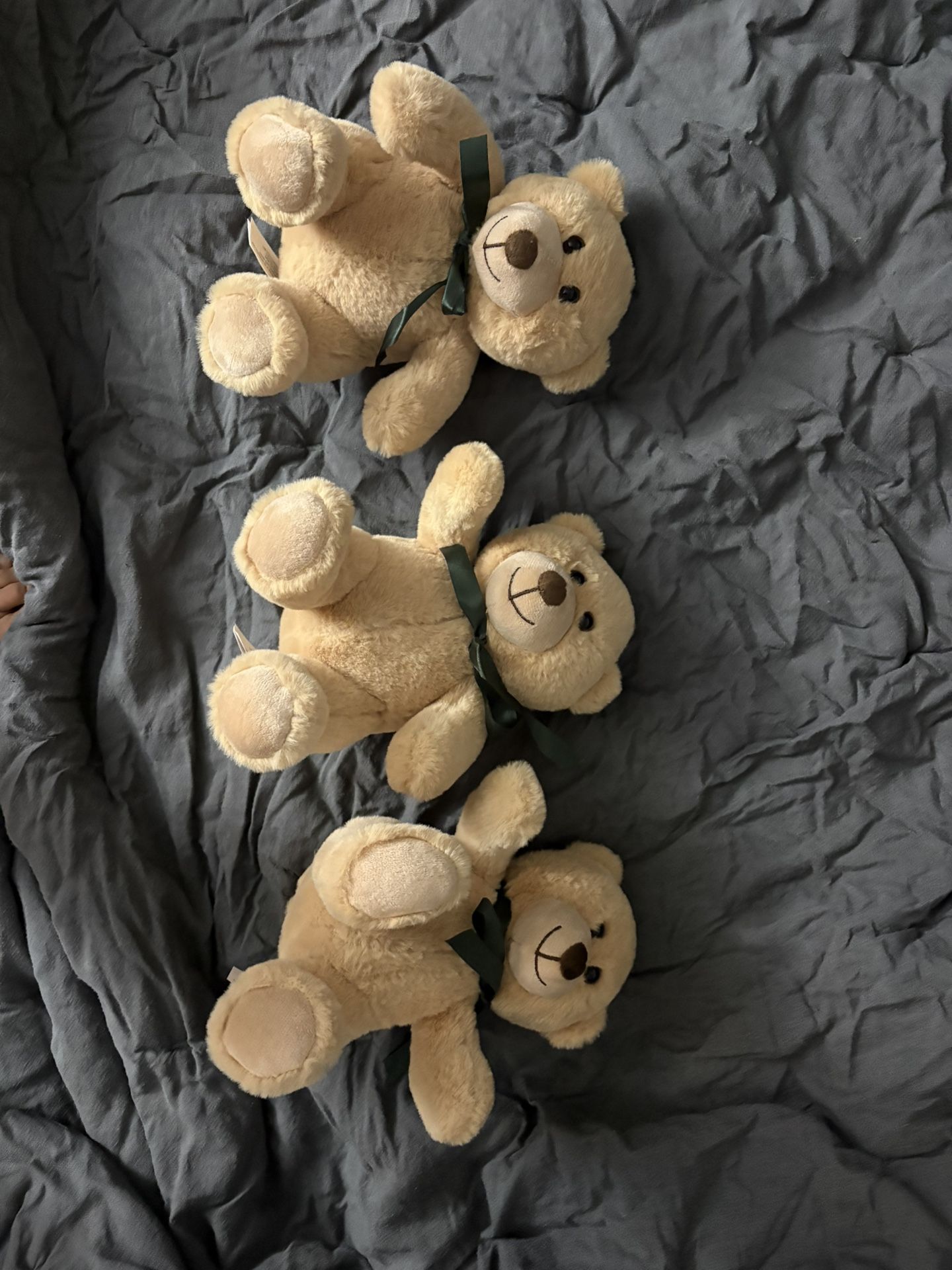 Teddy Bears