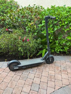 Segway adult scooter