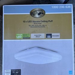 Led Square Ceiling Puff