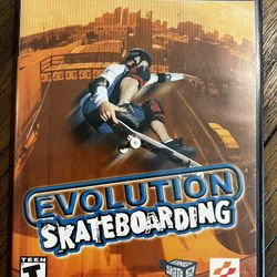 Evolution Skateboarding PlayStation 2 PS2