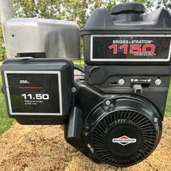 Briggs and Stratton 250cc 11.50 Torque Engine Horizontal 