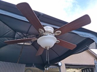 Ceiling fan
