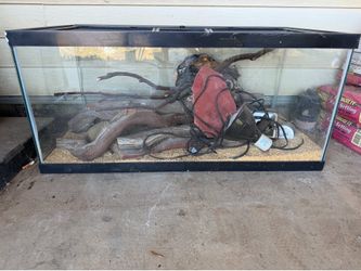 Terrarium lizard tank