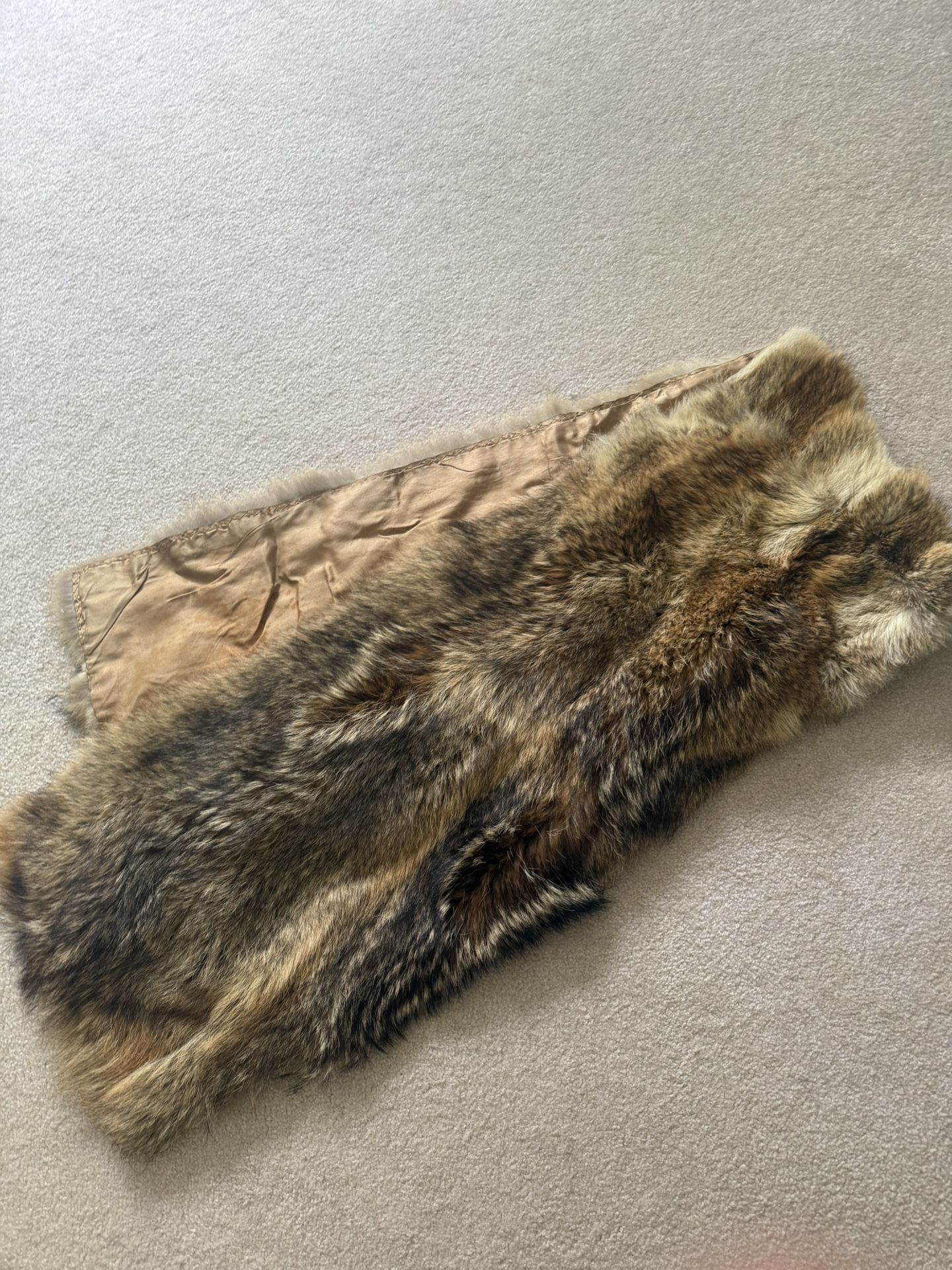 coyote cape