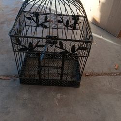 Bird Cage