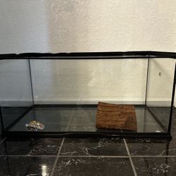 Reptile Tank