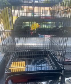 Bird Cage and Stand