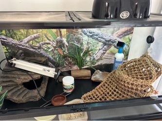 Bearded Dragon/reptile Enclosure