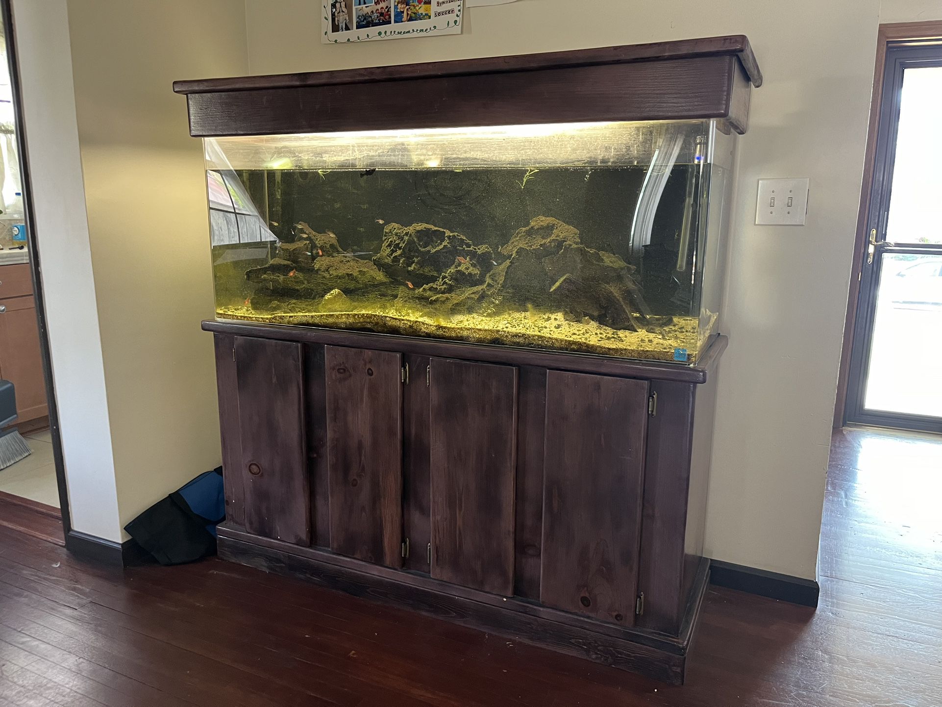 100 Gallon Fresh Water Fish Tank 
