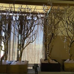 Decorative Tree, Tabletop, Painted Gold