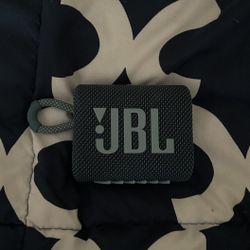 JBL speaker (GO3)