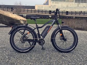 e bike rad power