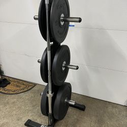 Giant Lifting Weight Tree Plate Storage 