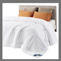 Queen - Avondale Az 093