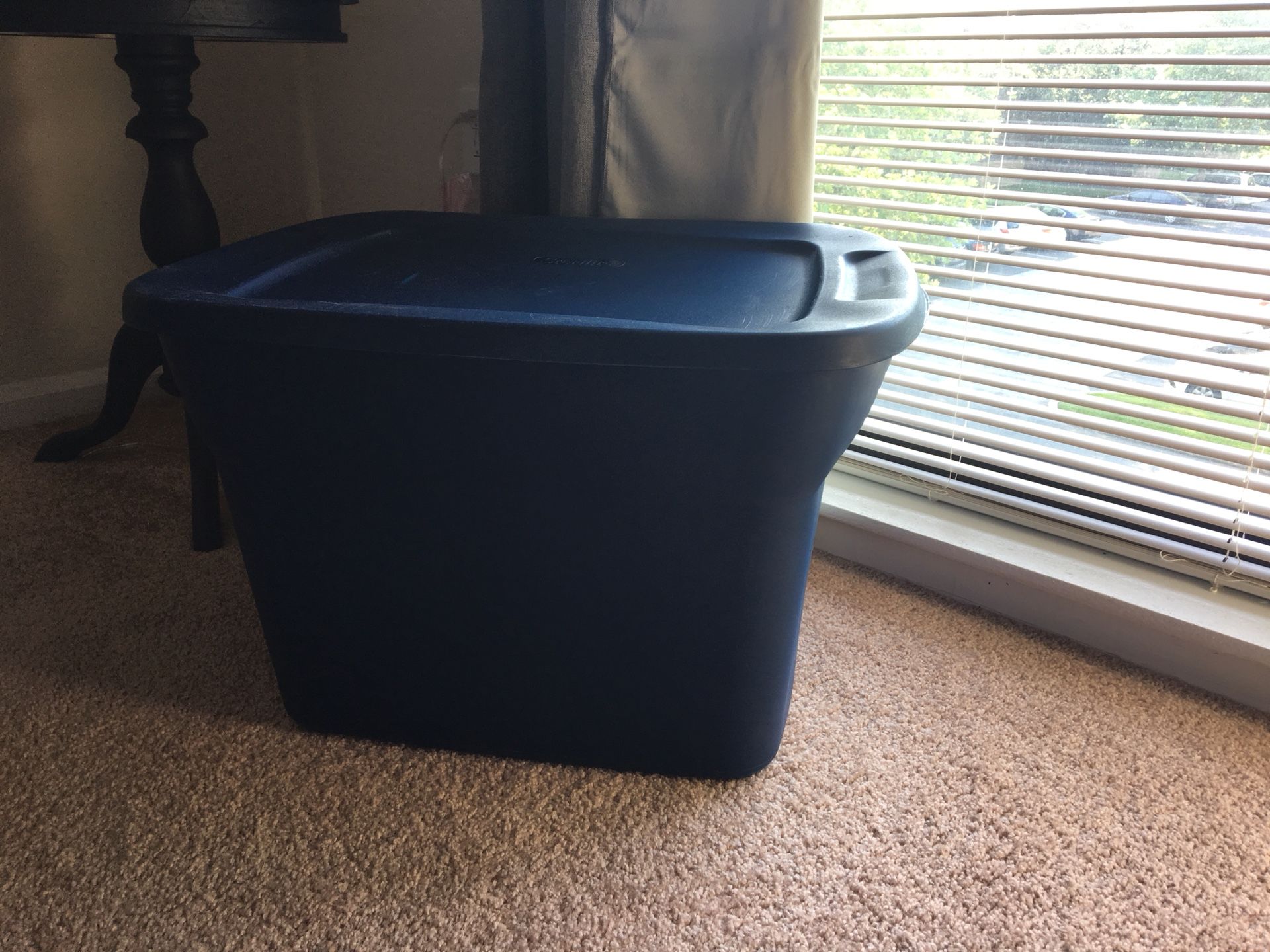 Sterilite Storage container