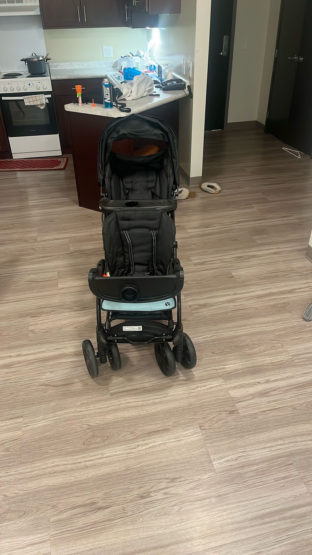 Double Stroller