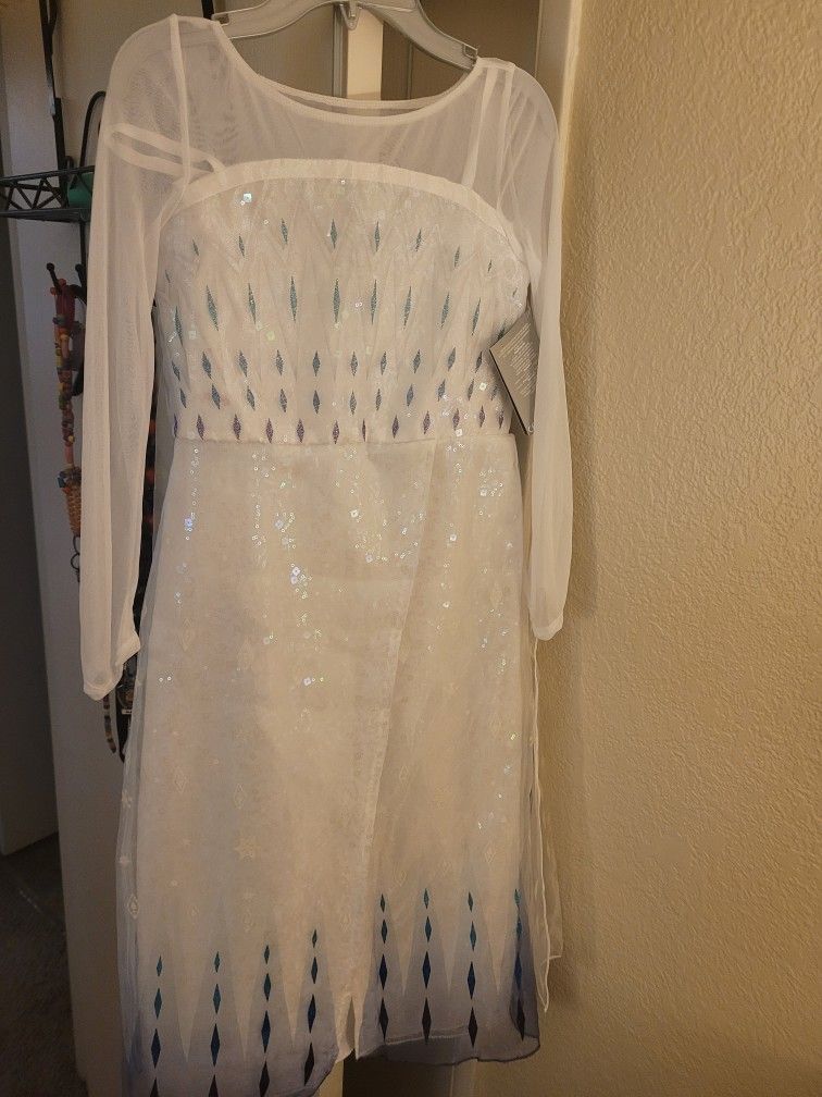 Never Worn Queen Elsa Dress Disney