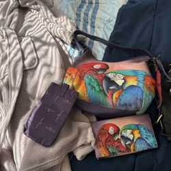 Anuchka Purse ,Wallet , And Eyeglass Case