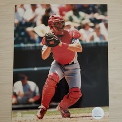 Baseball St Louis Cardinals Elieser Eli Marrero Baseball 2000 Catcher photos