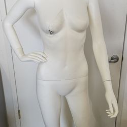 Mannequin Display