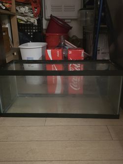 55 gallon