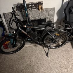 RADCITY POWER E BIKE