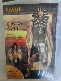 Halloween costume-  King of egypt (L)