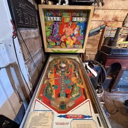 Wild Life Pinball Machine 