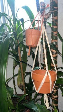 Macrame Plant Hangers