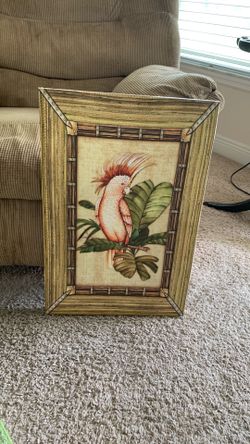 Beautiful Tropical Cockatoo Picture!