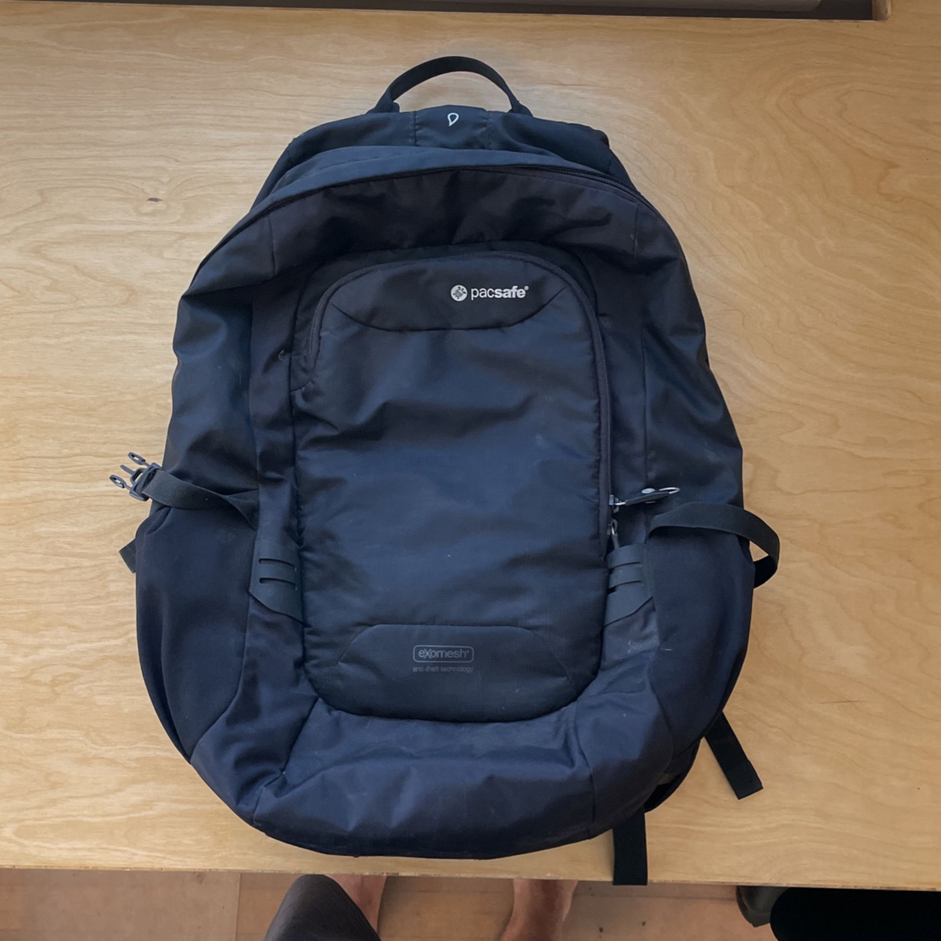 Pacsafe Backpack - Professional Grade Travel