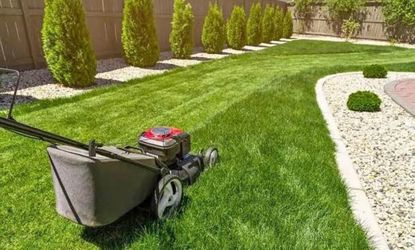Lawn service accepting offers