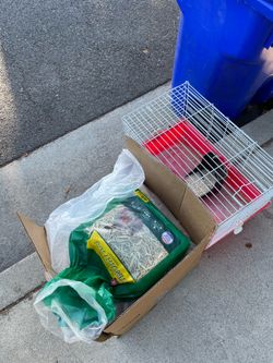 Free Bunny items