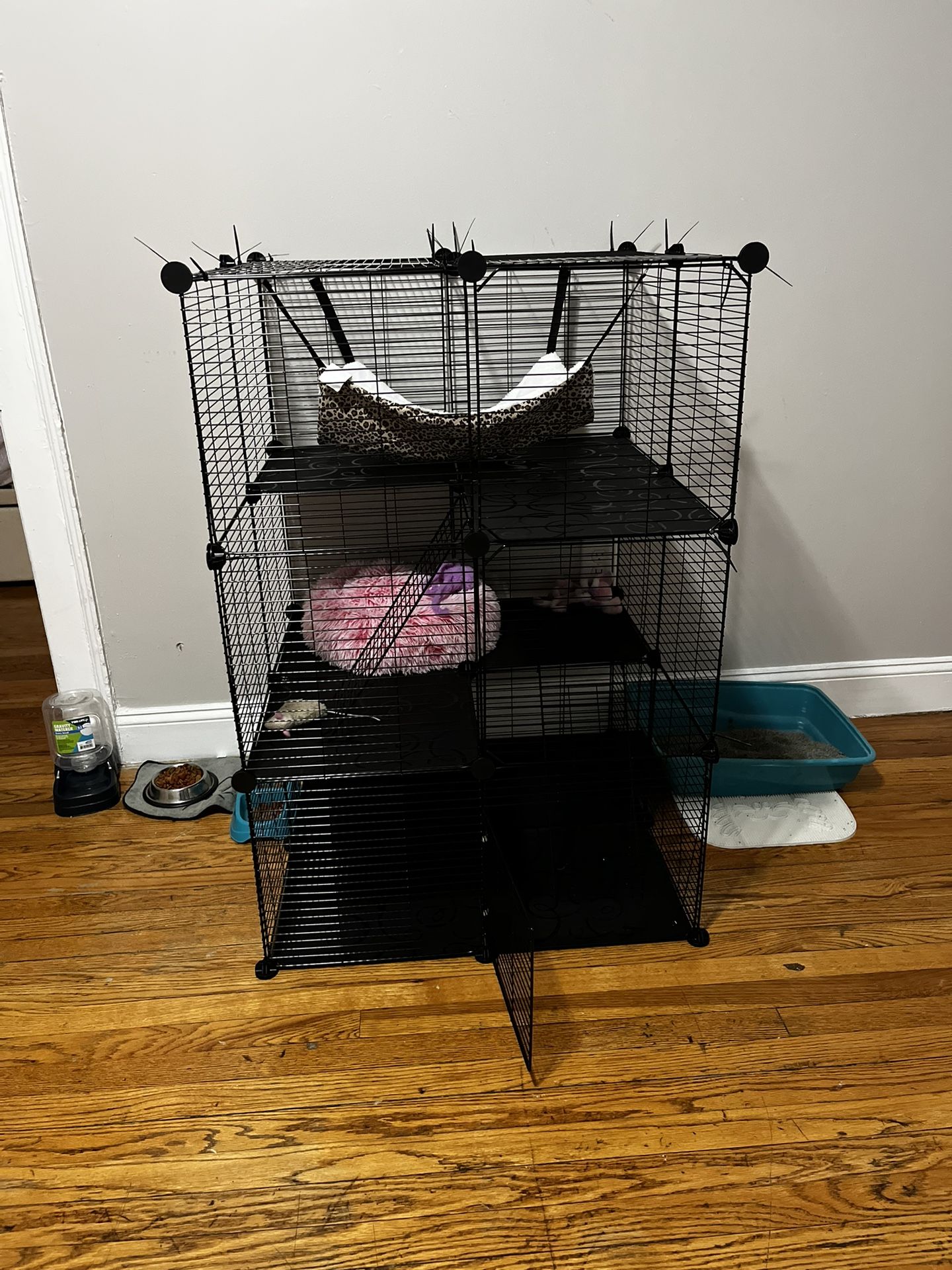 Cat Cage W/ Hammock
