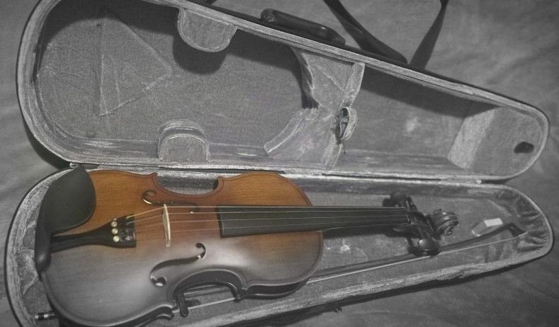 VIOLIN 4/4 $49