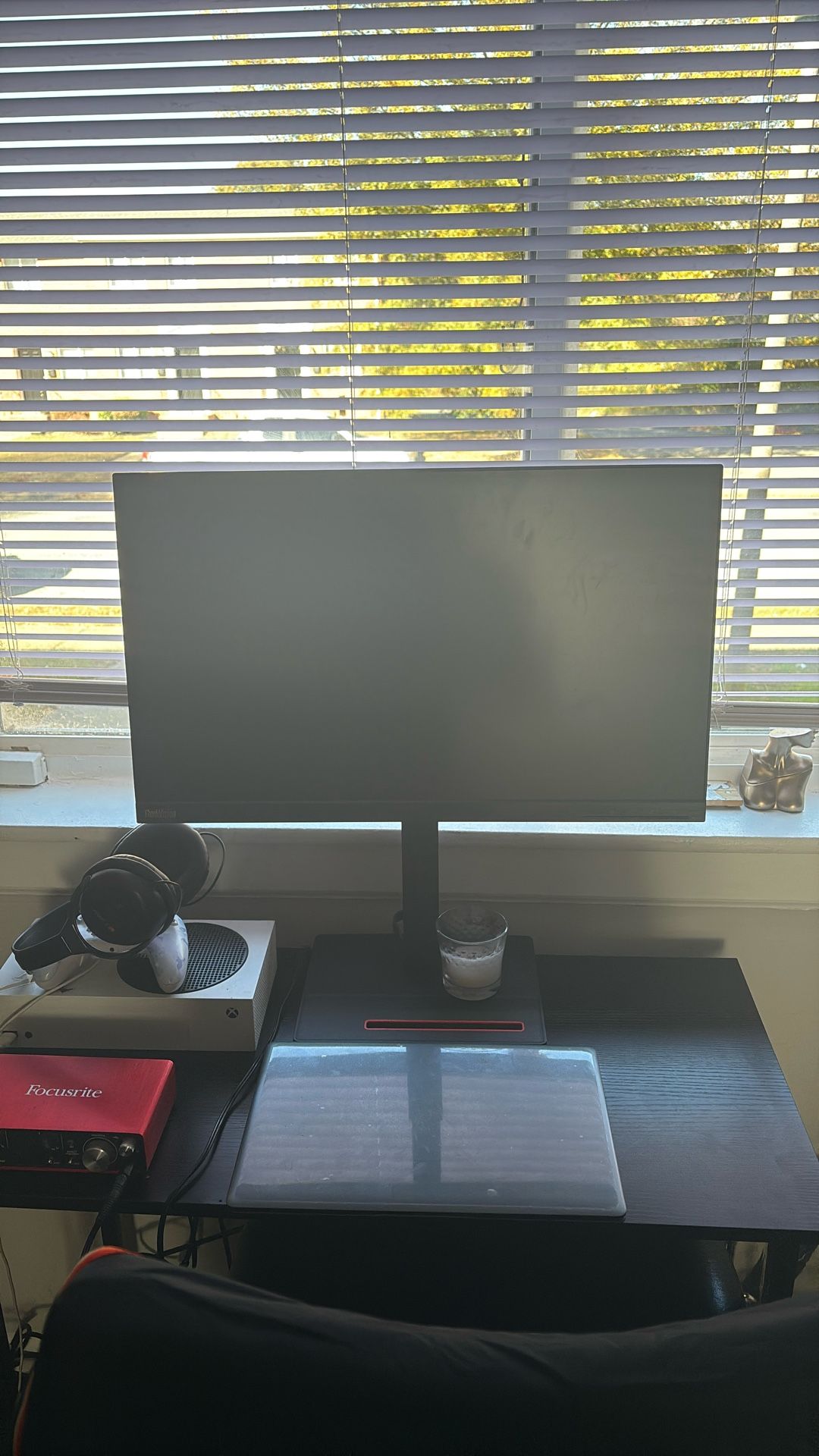 Thinkvision Monitor