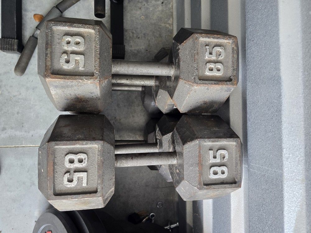 Weight Dumbbells