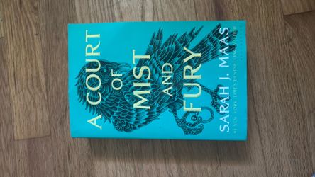 A court of Mist and Fury