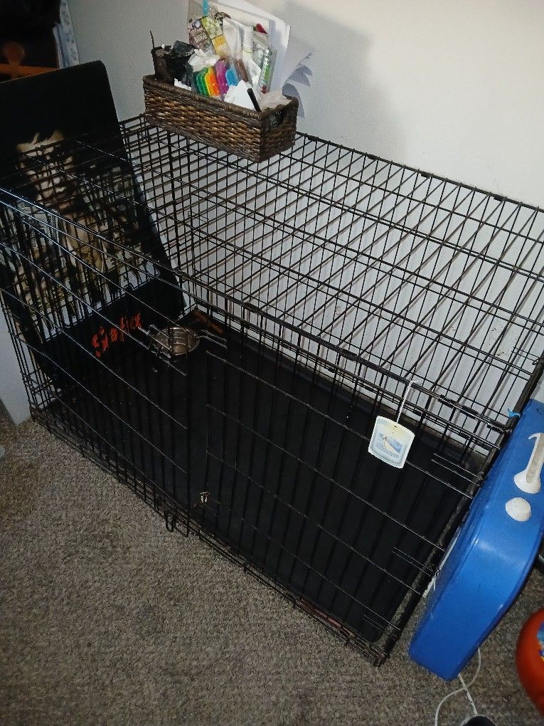 Big Kennel