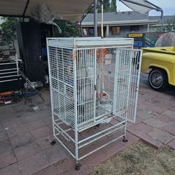 Bird Cage 