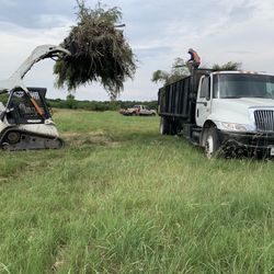 Stump Grinder And More 