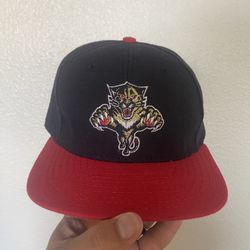 Vintage 90s Florida Panthers CCM Fitted Hat Size 7 1/8 