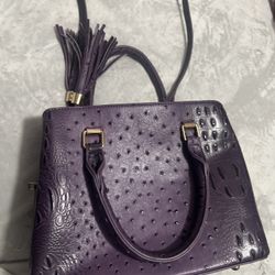 Purple Bag 