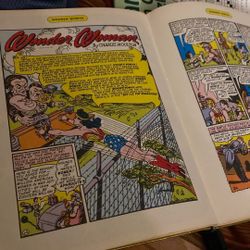 Wonder Woman 1945 Comic Book 